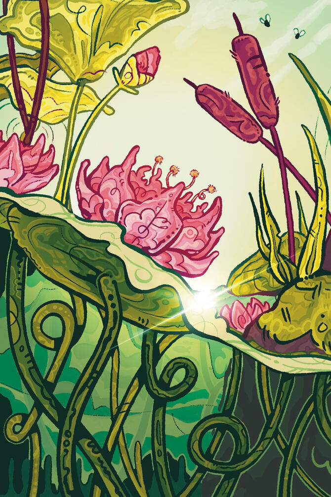 Lilypad Forest (2026)